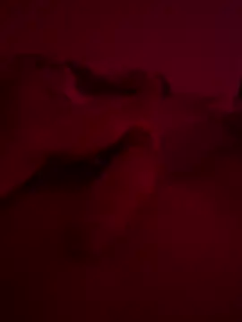 Snapshot of nieonixpeek19 chatting on 2, 2, 2026 nieonixpeek19 online show from 2, 2, 2026