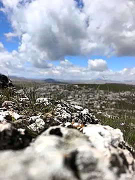 Sert erkek21 ysm online show from 31, 3, 2026