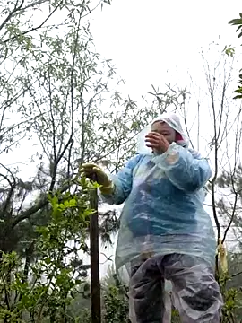 miomio-12 online show from 18, 11, 2025