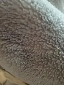 Saif b11b online show from 24, 3, 2026