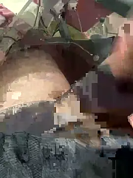 sertsikici20cm   online show from 1, 3, 2026