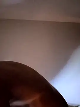 Snapshot of felipelon07 chatting on 28, 11, 2025 felipelon07 online show from 28, 11, 2025