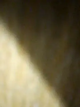 Cr sonam online show from 19, 11, 2025