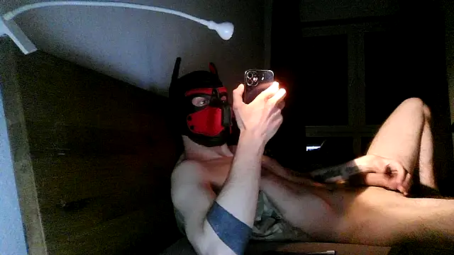 MolleDolle online show from 2, 12, 2025