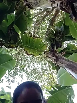 Snapshot of Co_punam chatting on 1, 4, 2026 Co punam online show from 1, 4, 2026