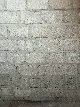 siusiu-00 online show from 11, 3, 2026