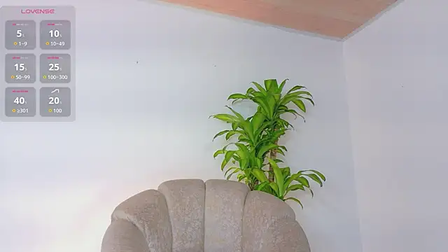 Axel Cody  online show from 25, 5, 2026