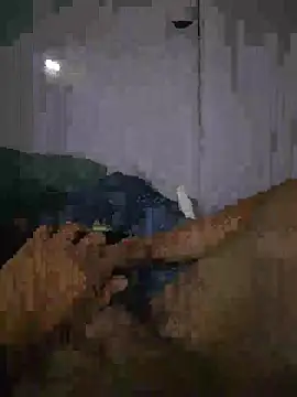 shainnfk online show from 1, 3, 2026