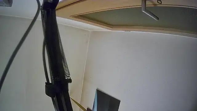 Snapshot of bull419M chatting on 17, 10, 2025 bull419M online show from 17, 10, 2025