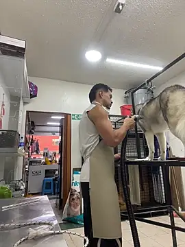 Leonardmoppet online show from 4, 11, 2025