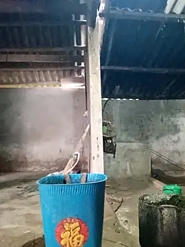 Myzak- online show from 1, 3, 2026