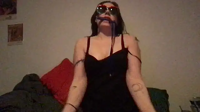 wet alleycat online show from 17, 2, 2026