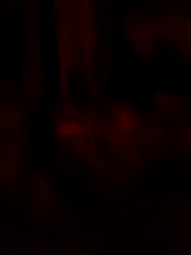 goloso80 online show from 22, 5, 2026