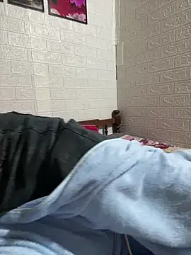 tabby-cat11 online show from 5, 3, 2026