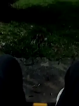 roludao fun online show from 9, 1, 2026