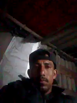 Orlao25cm online show from 18, 10, 2025