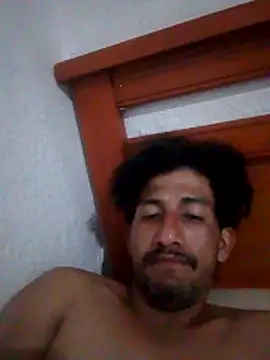 Orlao25cm online show from 21, 5, 2026