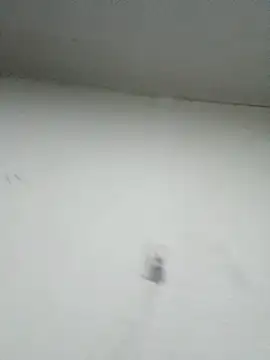 Nonname3 online show from 11, 11, 2025