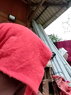 Sinhlinh2020 online show from 14, 2, 2026