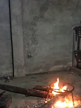 Kylie beem online show from 14, 11, 2025