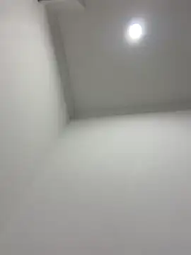 violeta365 online show from 11, 4, 2026