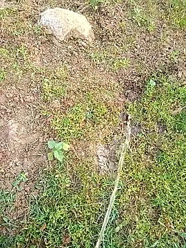 kumarstelugu online show from 16, 1, 2026