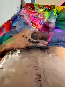 kumarstelugu online show from 25, 3, 2026