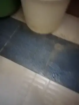 HeatableRevan online show from 19, 3, 2026