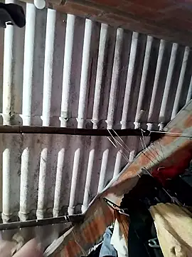 Snapshot of AfroditaSweet@xh chatting on 18, 1, 2026 AfroditaSweetxh online show from 18, 1, 2026