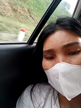 Bear bear0 online show from 17, 3, 2026