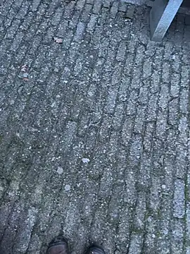 Snapshot of bart98geil chatting on 14, 2, 2026 bart98geil online show from 14, 2, 2026