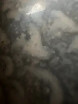 Snapshot of bart98geil chatting on 16, 2, 2026 bart98geil online show from 16, 2, 2026