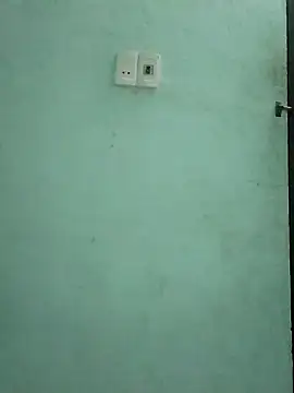  LAN  online show from 3, 11, 2025