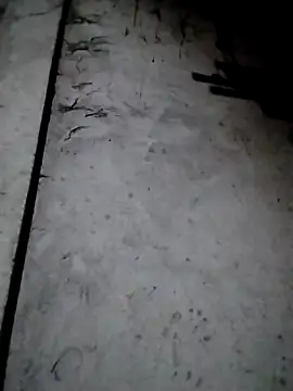 rickkis2k online show from 13, 12, 2025