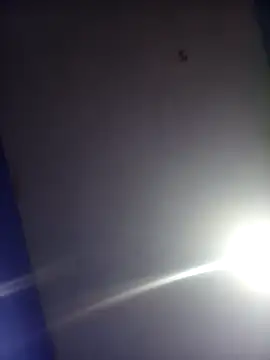 HSexy Men00 online show from 26, 11, 2025