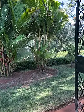 BubblesLovexox online show from 4, 4, 2026