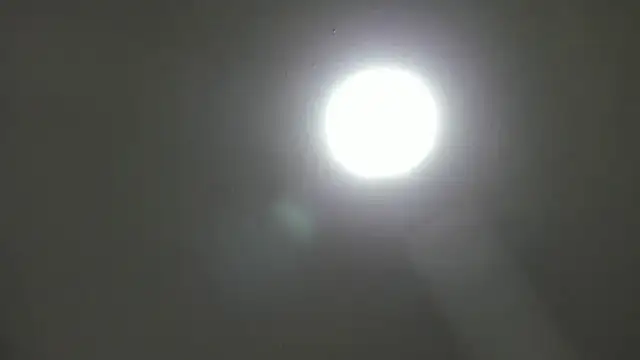  Asshley bensoon  online show from 5, 11, 2025