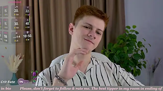 Allert  online show from 6, 4, 2026