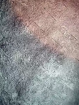 SkinniYamo online show from 11, 4, 2026