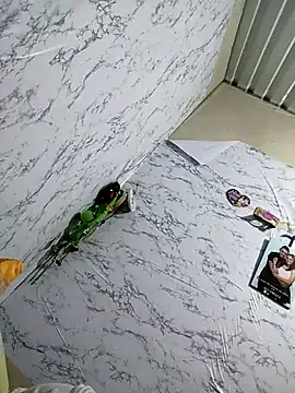 Anny 37 online show from 18, 1, 2026