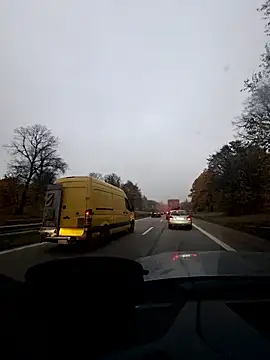 EchoVibe 86 online show from 7, 11, 2025