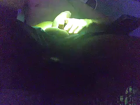 Snapshot of analice32456 chatting on 3, 3, 2026 analice32456 online show from 3, 3, 2026