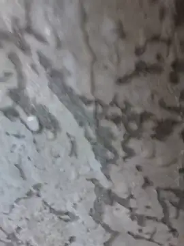 Snapshot of 3zekie1 chatting on 28, 10, 2025 3zekie1 online show from 28, 10, 2025