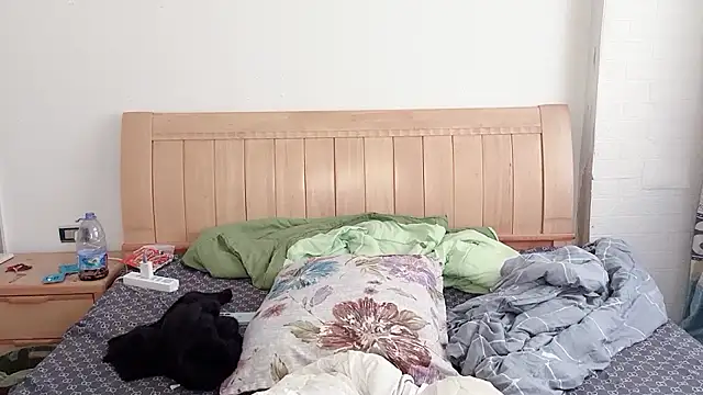 N228 online show from 5, 12, 2025