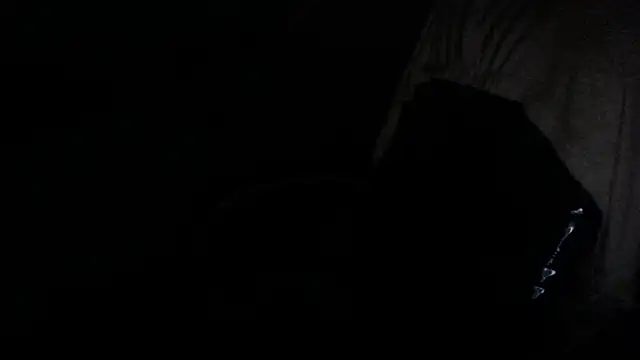 gygyfox online show from 21, 11, 2025