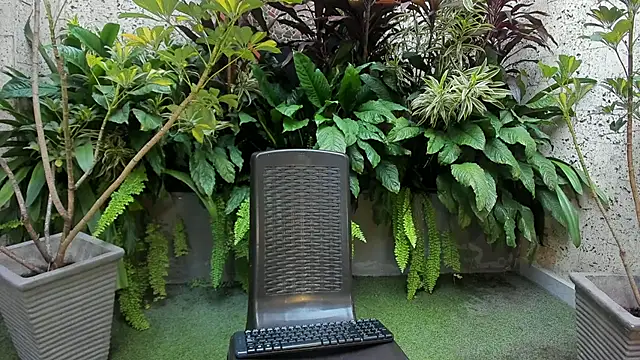 Staarhot online show from 1, 2, 2026