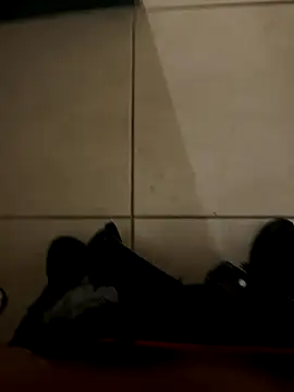 n0tf0und online show from 5, 11, 2025