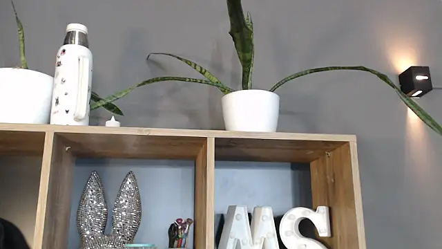 mickystrumia23 online show from 6, 1, 2026