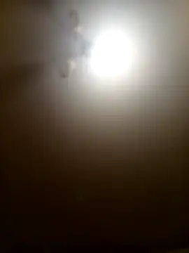 Niesmialyy online show from 16, 2, 2026