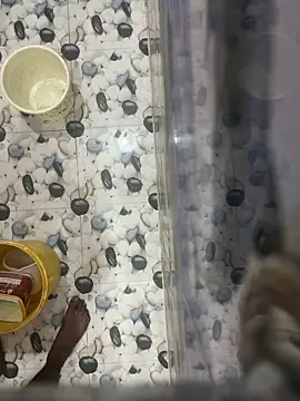 Snapshot of nehasharmanewgirl chatting on 3, 11, 2025 nehasharmanewgirl online show from 3, 11, 2025